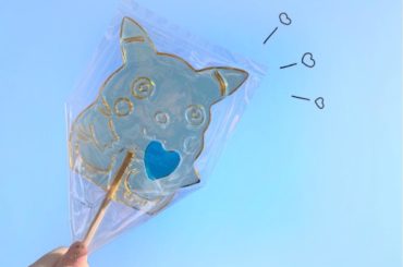 ︎︎
あけましておめでとうございます
.
.
私が寝ている間に家族が初詣に行っていたらしく…
起きたらお土産で大好きなポケモンのピカチュウの飴ちゃんをくれました...