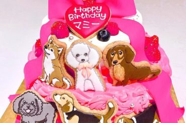 今日はおばあちゃんの誕生日でした
孫みんなで色々考えたの！
犬が好きなおばあちゃんのためにこだわって作ってもらったケーキが可愛すぎる〜
喜んでくれて本当によかっ...