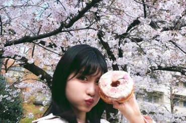 桜×サクラドーナツ＝美味。
#dumbo #dumbodoughnutsandcoffee 
#サクラドーナツ #サクラ #ドーナツ #カフェ...