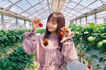 ㅤㅤㅤ
念願の...いちご狩り〜︎
1時間で45個食べた！
んー美味しかった
しあわせな時間でした...