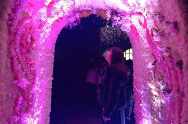 flower by naked
先日行ってきてずっと写真載せようと思ってたんだけど、タイミングを逃してたー
ひと足早いお花見
とっても綺麗でした
.
.
#fl...