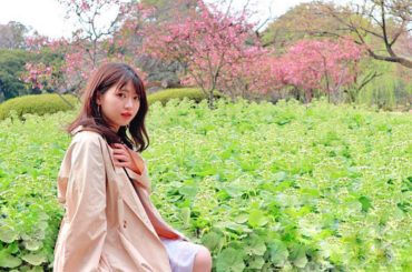 緑がいっぱい
.
#4月中旬 
#春だけど
#まだ寒い 
#春はいつくるのだろう...