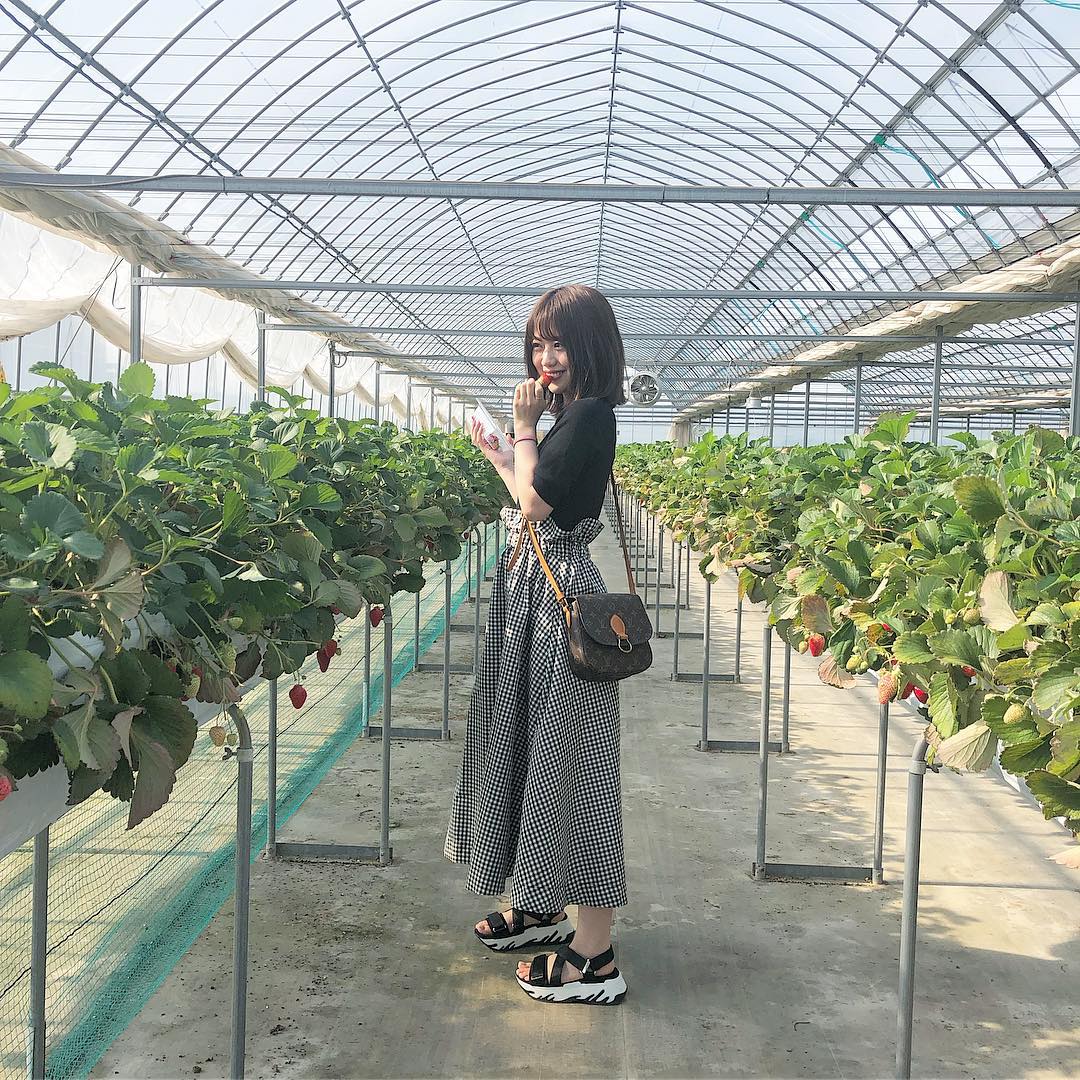 篠崎彩奈 いちご狩り の私服 ストーリーでもたくさん質問があって嬉しいです タグ付けしました いちご ギンガムチェックって 可愛くないですか 笑 Z Moe Zine