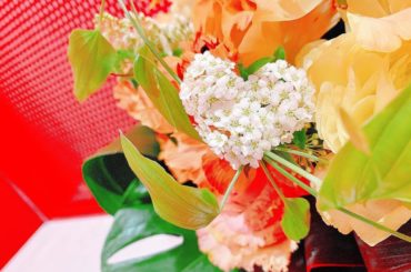 見て見て
「」の形になってる
.
#flower #heart #beautiful #love #thankyou #...