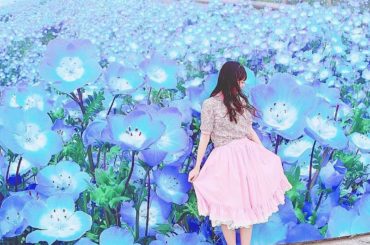 ❁︎
.
今年の春は沢山お花を見に行けました！
.
この前、茨城県にある #国営ひたち海浜公園  に行ってきたよ〜！
.
ＧＷが1番の見頃だったネモフィラ❁︎を...