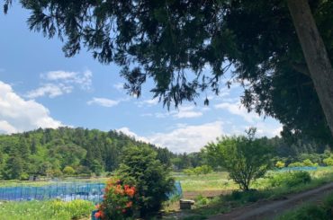 緑に囲まれたいでござる﻿
﻿
#緑って心落ち着くよね #旅に出たい...