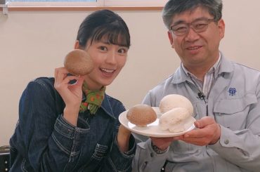 明日 6/3 ひる12:20～
NHK総合「うまいッ！」
今回は北海道十勝へマッシュルームの魅力をさぐりにいってきましたよ 生で食べても、炒めても逸品になる万能...