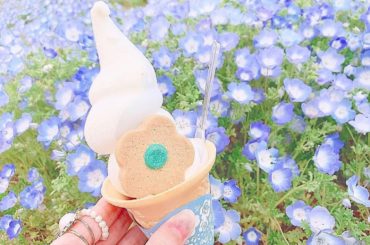 ❁︎
.
#ネモフィラソフト も食べたよ
.
可愛い〜❁︎これは映えだよね
.
#国営ひたち海浜公園 #ソフトクリーム #ネモフィラ...