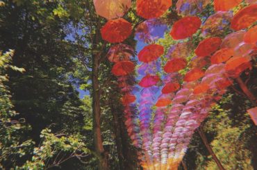 奇想天外 空模様
.
#ムーミンバレーパーク  #moomin #moominvalleypark #テレ玉 #マチコミ...