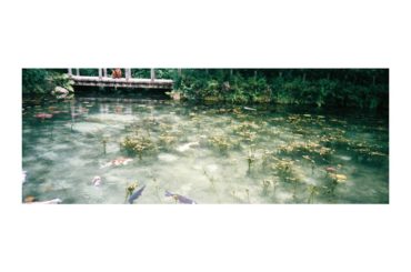 ・
現像したらでてきたモネの池
去年の夏に家族で行きました。
美しかった
#film #モネの池...