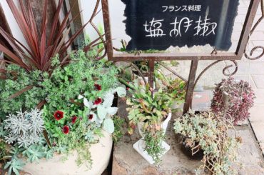 #塩胡椒 #フランス料理 #熊本グルメ...