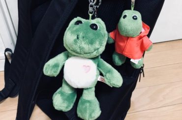 学校のカバン！！ かえる

#学校 #カバン #リュック #かえる #カエル #キーホルダー #梅雨 ##可愛い #かわいい #好き #すき #大好き #だいす...