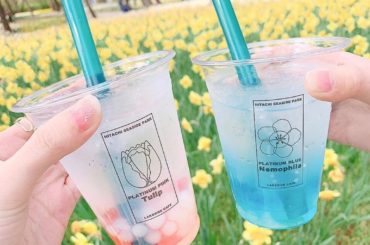 .*
.
.
#ひたち海浜公園 #スイセン #タピオカ...