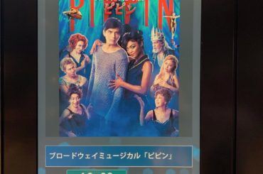 #ピピン #pippin 
観劇して参りました、
余韻がすごい…1秒も見逃してない自信ある、見入って聞き入ってしまいました
小学生、中学生、と宝塚にどっぷりでい...