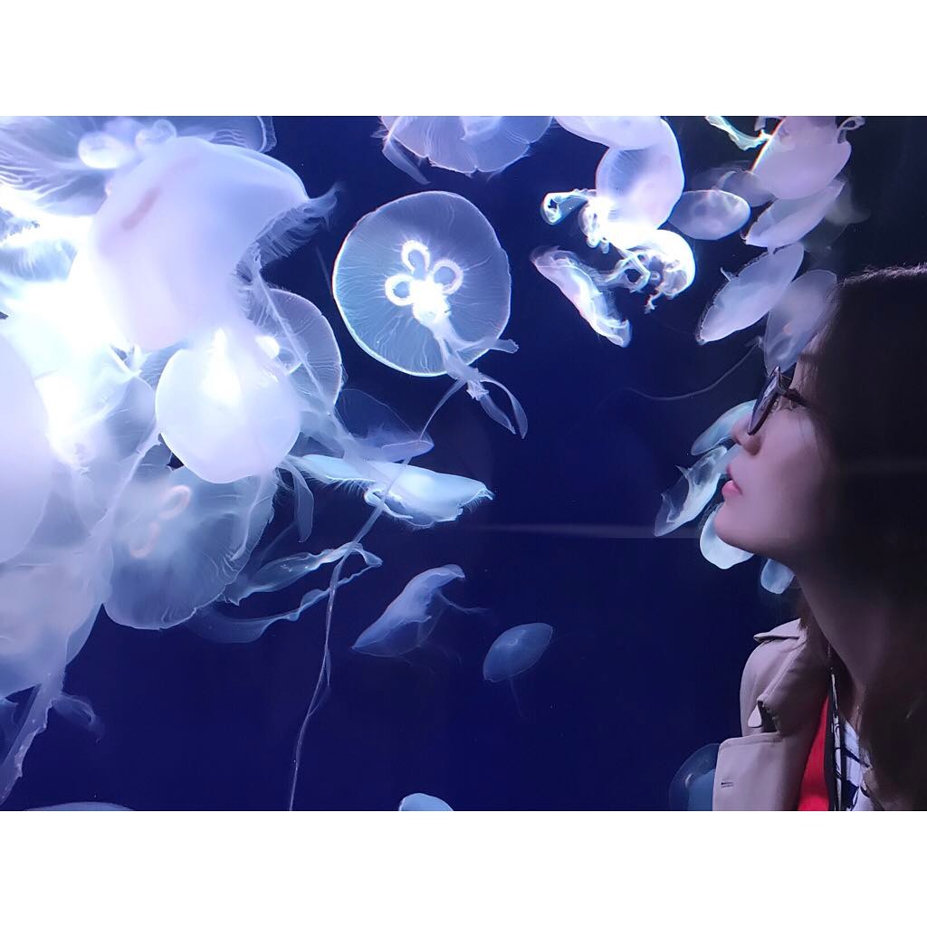峯岸みなみ お相手は優子 水族館って元々すきだけど 優子といく水族館は格別だった 横顔麗しや Moe Zine