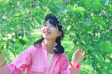 写真は梅です
言葉に出来ないくらいの綺麗さ
今日15:25から6月「畑でMarry Me」3回目の放送です
ぜひ観てください
* * * * * * * * ...