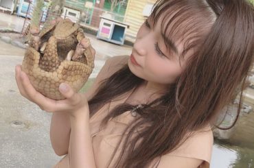 初アルマジロ...