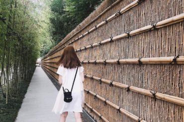 きょうと
ここで10ヶ所は蚊に刺された...