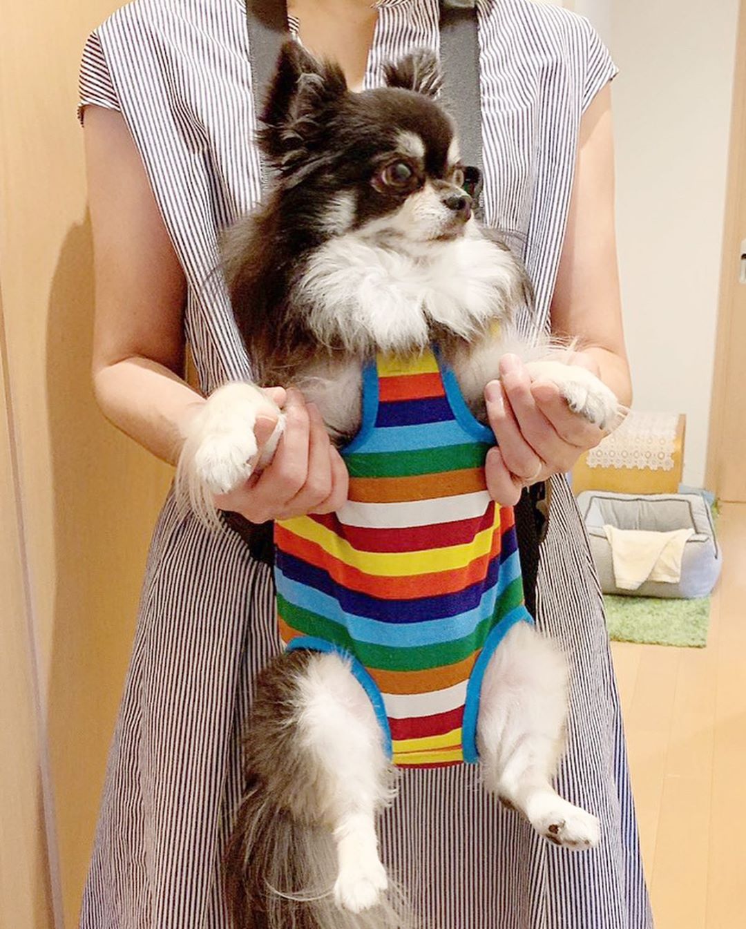 古賀哉子 18歳離れてる弟に 抱っこヒモをプレゼントしました ママに抱っこされてる 可愛いでしょ ティナ日記 すぐ噛みちぎる 愛犬 チワ Moe Zine