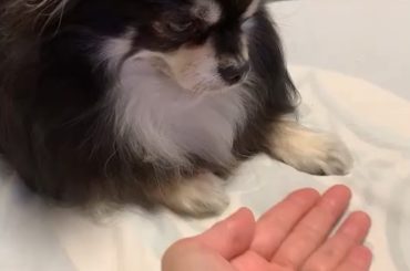 ︎
.
いち、、
に、、！？
さん、、、！！！
.
#ティナ日記  #ママとティナ...