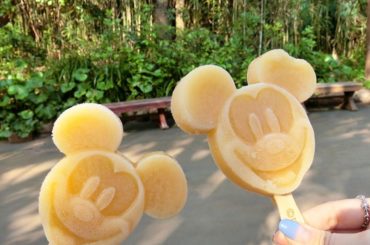 ディズニーのアイス大好き。
いつも食べちゃう。

ディズニーに行ったら必ず食べるものって
なにかありますか？？ #disney #tokyodisneyland...