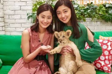 _

スタジオに来てくれた
生後2ヶ月のライオンの赤ちゃん
肉球も何もかも可愛すぎた _

#tbs
#王様のブランチ
#富士サファリパーク
#ライオンキング ...