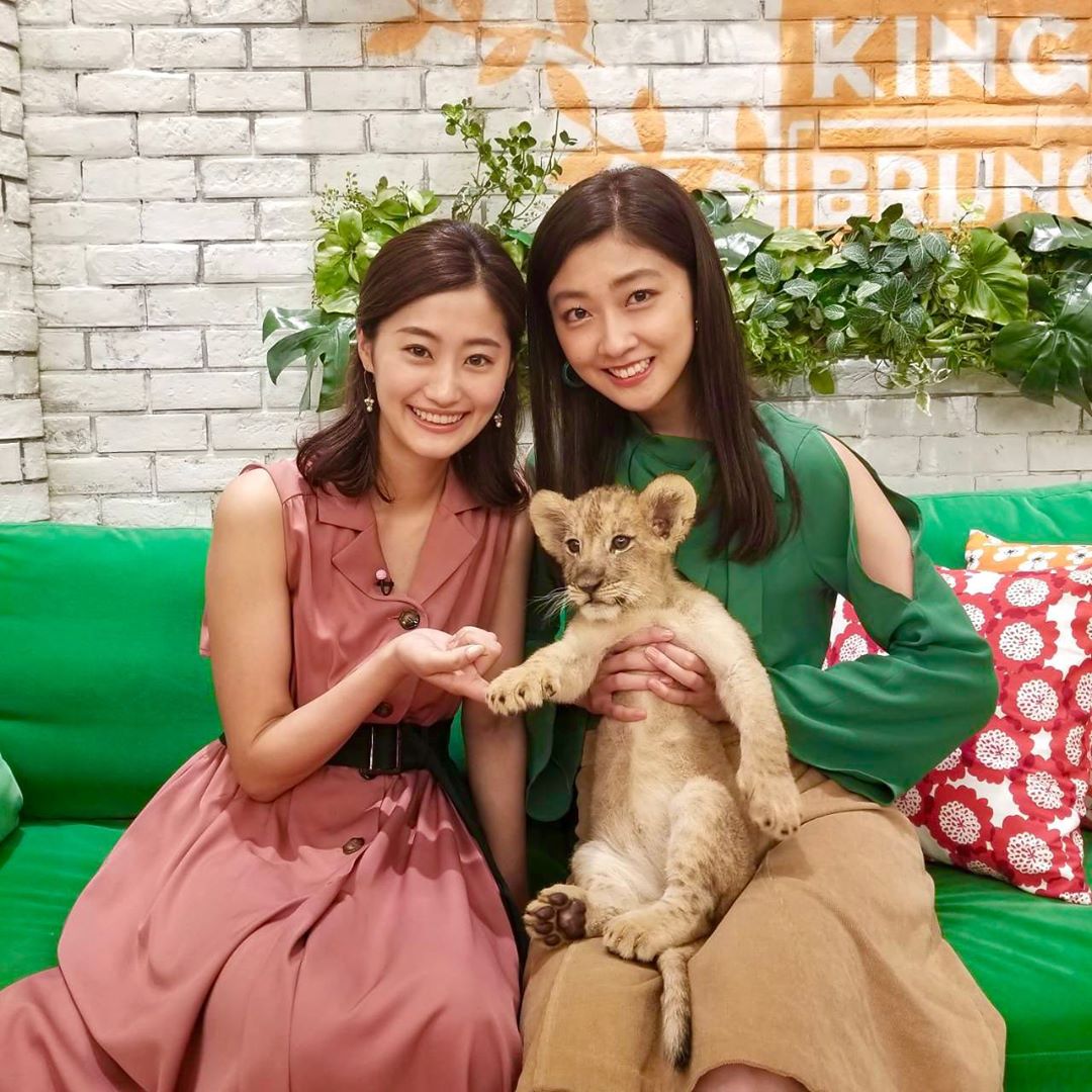 熊井友理奈 スタジオに来てくれた 生後2ヶ月のライオンの赤ちゃん 肉球も何もかも可愛すぎた Tbs 王様のブランチ 富士サファリパーク ライオンキング Moe Zine