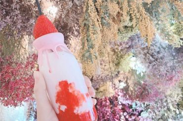 .
.
.
かなり前、福岡に行った時お洒落なカフェに行ってきたよ〜︎︎︎︎︎︎
.
.
.
#福岡カフェ #小倉カフェ  #daisy #小倉カフェ巡り  #...