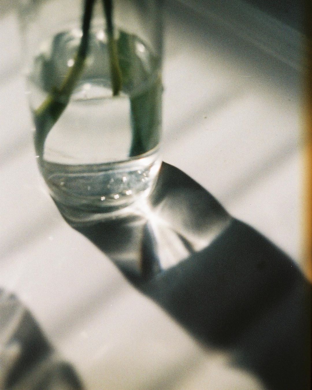 唐田えりか 輝いているもの 撮りがち 景色も物も人も Moe Zine