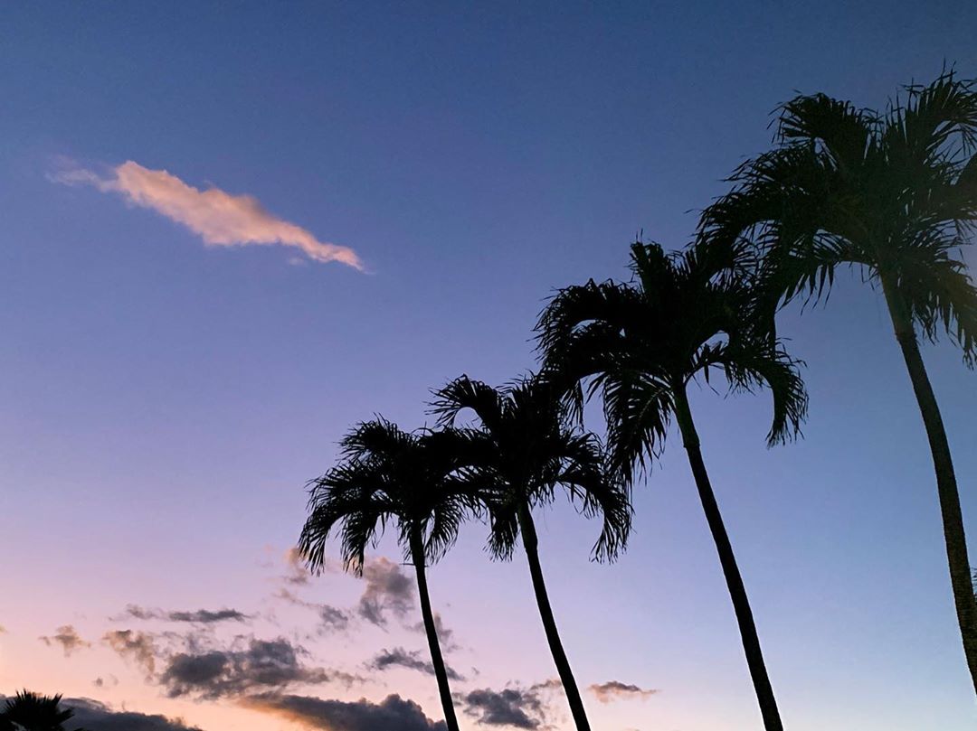 伊藤奈月 今年も 夏は ハワイに来てるよ 毎日 暑い 今回で13回目のハワイ 大好き 一昨日から ストーリーも たくさん 更新してるから 見 Moe Zine