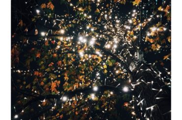 いつかの #光...