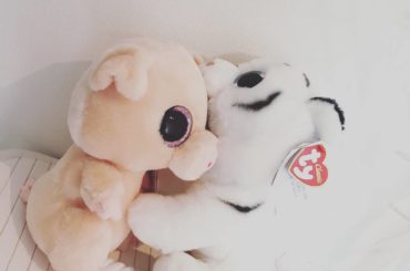 .
我在机场买的!
可爱吗？？？？
この間帰りに広州の空港で見つけて
急に目についたこの子たち！
悩んでたら社長さんが…
ぶたさんと、ホワイトタイガーさん！
さ...