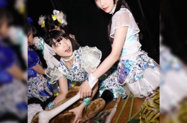 悪魔と獺
.
.
.
#dempagumi #idol #live #ウッハヤー仙台 #ウッハヤーツアー #いのちのよろこび #akihabara #conce...