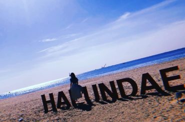 .
Pile 2nd 写真集
Roots of Pile Seoul⇔Busan
明日から順次発売
#海雲台 
#pile #photobook #写真集　#s...