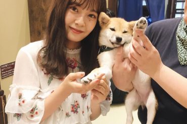 ㅤㅤㅤ
豆柴カフェへ ... 
みんな気分屋さんで可愛くて癒された〜
この子は生後4ヶ月のマメちゃん︎
#浅草#豆柴#豆柴カフェ#カフェ巡り...