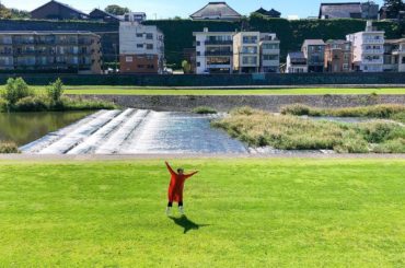 モモンガ
#よく見てね
#そう
#浮いている
#らぶ自然
#れい旅物語
#金沢...