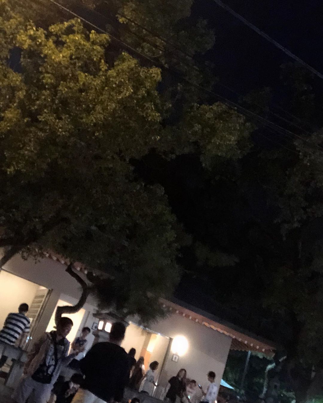 松本日向 あいちー同い年 まるで森かのような雰囲気 オーラが穏やか癒し系 普段からおっとりマイペース なのにツッコミは瞬発 日向の話無視しがち 常に寝てる Moe Zine