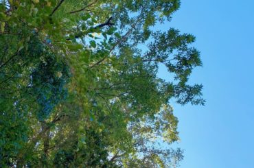 いい天気でした♡
美味しいもの食べたり友達に会えたり
秋ってうきうきするなあ
運動もしましょうかね。...