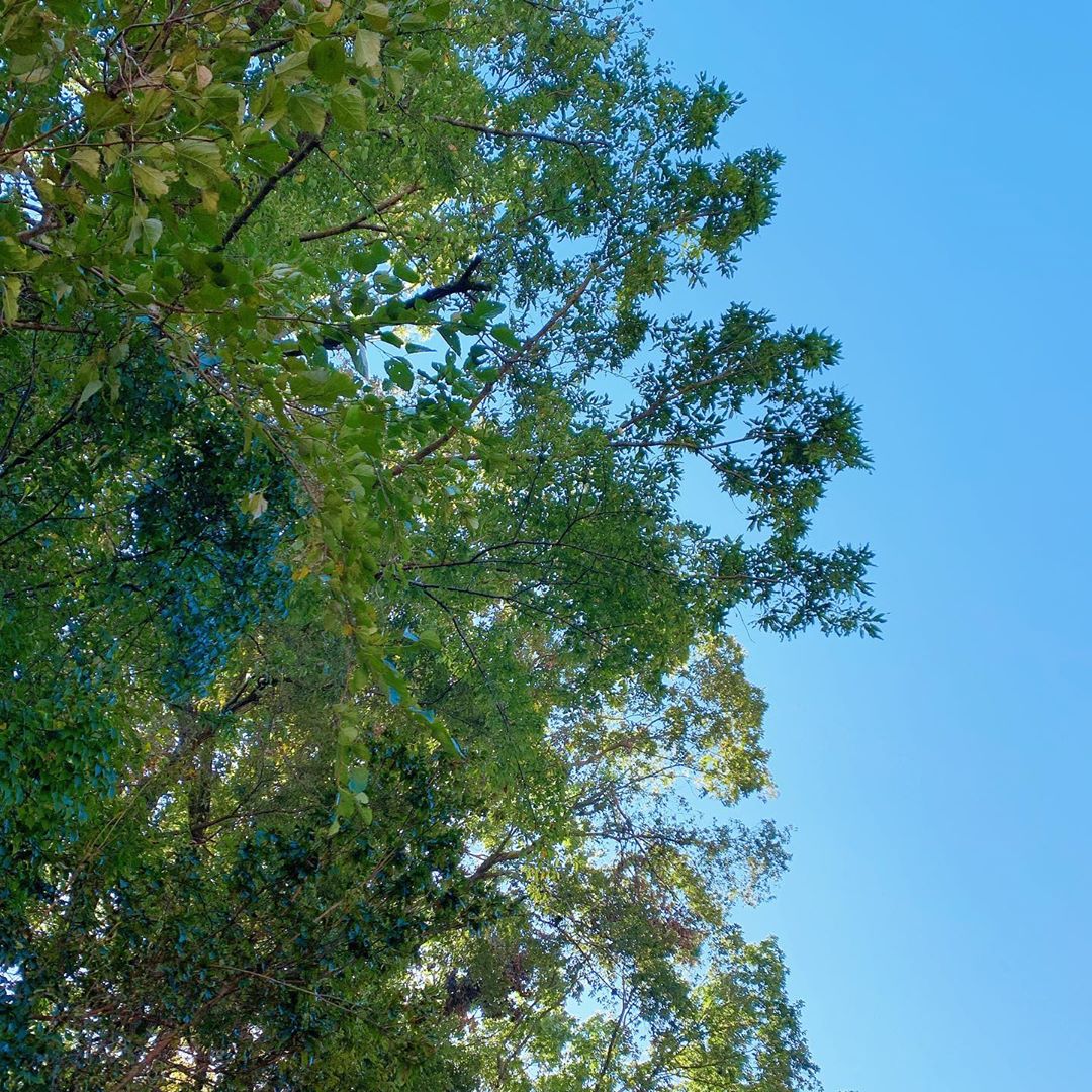 佐野ひなこ いい天気でした 美味しいもの食べたり友達に会えたり 秋ってうきうきするなあ 運動もしましょうかね Moe Zine