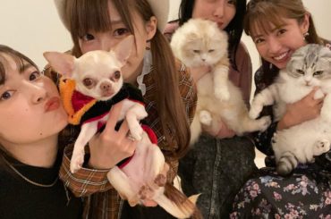 *
くみちゃん家に遊びに行きました
くみちゃん手料理が美味しすぎて...
みんなで語り尽くして楽しくて幸せな時間でした
ひかりちゃんのビルスとくみちゃんのロワア...