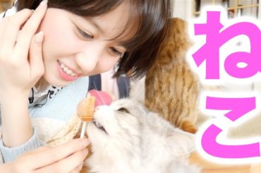 ゆきりぬと猫。