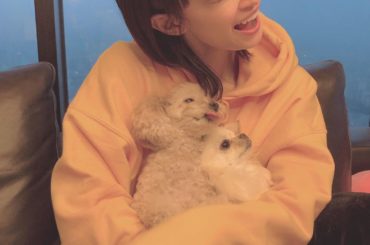 .
かわかわなワンコ
かんなちゃん家に遊びに行った時の写真
可愛すぎた、、、
犬派猫派の質問絶対にどっちも派
@kanna_okada
#チワワ
#プードル...