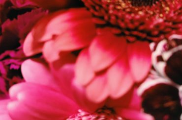 先日とある作品クランクアップしました。﻿
とってもあたたかい素敵な現場で、毎日が濃密でした。﻿
また皆さんと違う現場でもお会いできるよう頑張るゾ﻿
﻿
そして2...