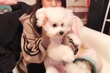 JJのJくんとはなとドッグラン行きまして動画撮ってきたので後日動画上げます 今回は、保護犬活動もしているpinkbeachさんにお邪魔しました！ほんとにみんな可...