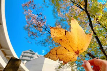 #20191110 #sunnyday #
.
今日は新しい挑戦をして来ました
そして。。。
その時思ったことがあって。。。
.
皆さんにも得意なものと得意じ...