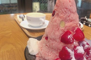 イチゴ﻿
﻿
＊＊＊＊＊＊＊＊＊＊﻿
﻿
新大久保のHOMIBINGで食べました﻿
めっちゃ美味しかった﻿
﻿
ヒートテックが見えるのはご愛嬌﻿
﻿
＊＊＊＊＊...