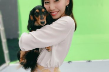 オーネットCM撮影に来てくれた、わんちゃんタレントの
『アズナヴール』ちゃんと『オルテンシア』ちゃん。
見てください、めちゃくちゃ美人！！！！
.
アズアズとテ...