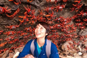 去年の今頃はさんたちと戯れていたなあ。
そして今年も対して変わらないことやってます。笑
世に出してない世界の絶景写真が多すぎるので徐々に思い出したかのように載せ...