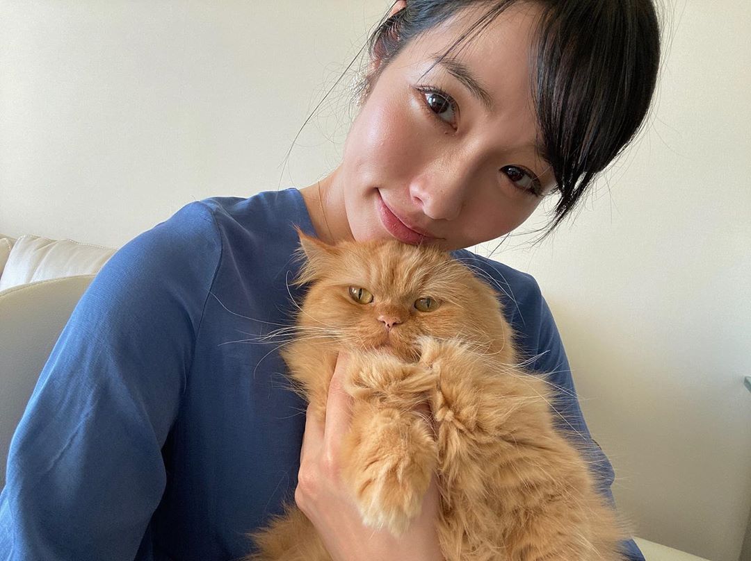 今野杏南 うちのかわいいぬこたち れもんちゃんは美人さん まりもは鼻ぺちゃさん Remon Marimo Konno ねこすたぐらむ マンチカン ミヌエッ Moe Zine