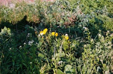 「踊る！さんま御殿︎」明日夜７時から、
クリスマス4時間SPに出演させて頂きます
私は、サンタ姿でクリスマス女子会の回です！
さんまさんに、また会えて本当に嬉し...